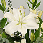 White Oriental Lilies In Vase