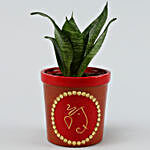 Sansevieria Plant in Red Terracotta Pot
