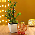 Jade Plant in White Pot & Ganesha Idol