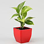 Money Plant in Red Pot & Ganesha Table Top