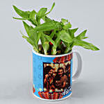 White Mug Two Layer Bamboo Plant & Table Top