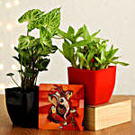 Bamboo & Syngonium Plant With Ganesha Table Top