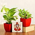 Money Bamboo Plant With Ganesha Table Top
