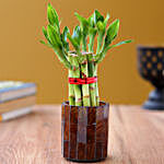 5 Bamboo Sticks in Brown Mosaic Votive