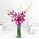 Vibrant Purple Orchid Flower Bunch