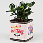 Ficus Compacta Plant In Happy Birthday  Vase
