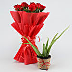 Aloe Vera Plant & Red Rose Bouquet