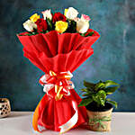 Money Plant & Colourful Rose Bouquet