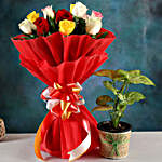 Syngonium Plant & Colourful Rose Bouquet