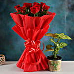 Syngonium Plant & Red Rose Bouquet