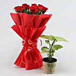 Syngonium Plant & Red Rose Bouquet