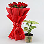 Syngonium Plant & Red Rose Bouquet