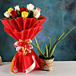 Aloe Vera Plant & Colourful Rose Bouquet