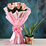 Aloe Vera Plant & Pink Rose Bouquet