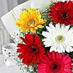 Mixed Brilliance Gerbera Bouquet