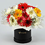 Mixed Brilliance Gerbera Blossoms Box
