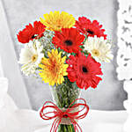 Mixed Brilliance Gerbera Vase