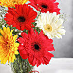 Mixed Brilliance Gerbera Vase