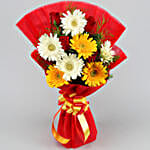 Mixed Elegance Gerberas Bouquet