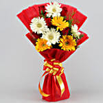 Mixed Elegance Gerberas Bouquet