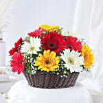 Mixed Gerberas In Cane Basket