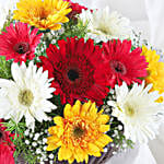 Mixed Gerberas In Cane Basket