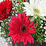 Mixed Gerberas In Cane Basket