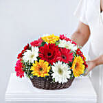 Mixed Gerberas In Cane Basket