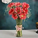 Beautiful Pink Gerberas Vase