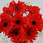 Red Elegance Gerbera Vase