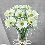 Serene White Gerbera Vase