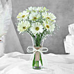 Serene White Gerbera Vase