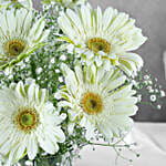 Serene White Gerbera Vase