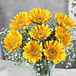 Yellow Mystique Gerbera Vase