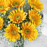 Yellow Mystique Gerbera Vase