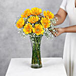 Yellow Mystique Gerbera Vase