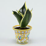 MILT Sansevieria Plant In Yellow Ceramic Vase