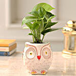 Money Plant In Hand-painted Ceramic Owl Planter