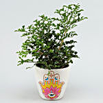 Muraiya Plant In Hand-painted Hamsa Ceramic Pot