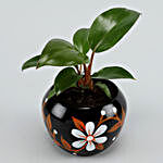 Red Philodendron Plant In Hand-painted Pot