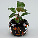 Red Philodendron Plant In Hand-painted Pot