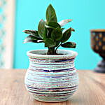 Zamia Plant In Green Lining Ceramic Vase