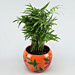 Chamaedorea Palm Plant In Hand-painted Pot