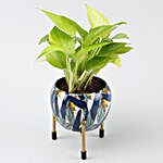 Golden Money Plant In Leaf Printed Metal Pot