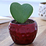 Hoya Plant In Red Hammered Metal Pot
