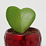 Hoya Plant In Red Hammered Metal Pot