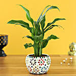 Peace Lily Plant In Floral Mosaic Design Metal Pot