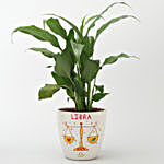 Peace Lily Plant In White Ceramic Planter