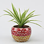 Spider Plant In Mosaic Pattern Design Metal Pot