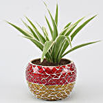 Spider Plant In Mosaic Pattern Design Metal Pot